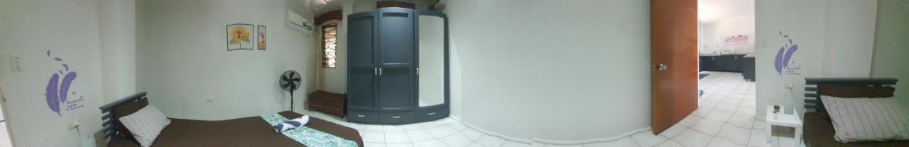 Cosy 2 Bedroom Unit With Pool,Wifi Suva Extérieur photo